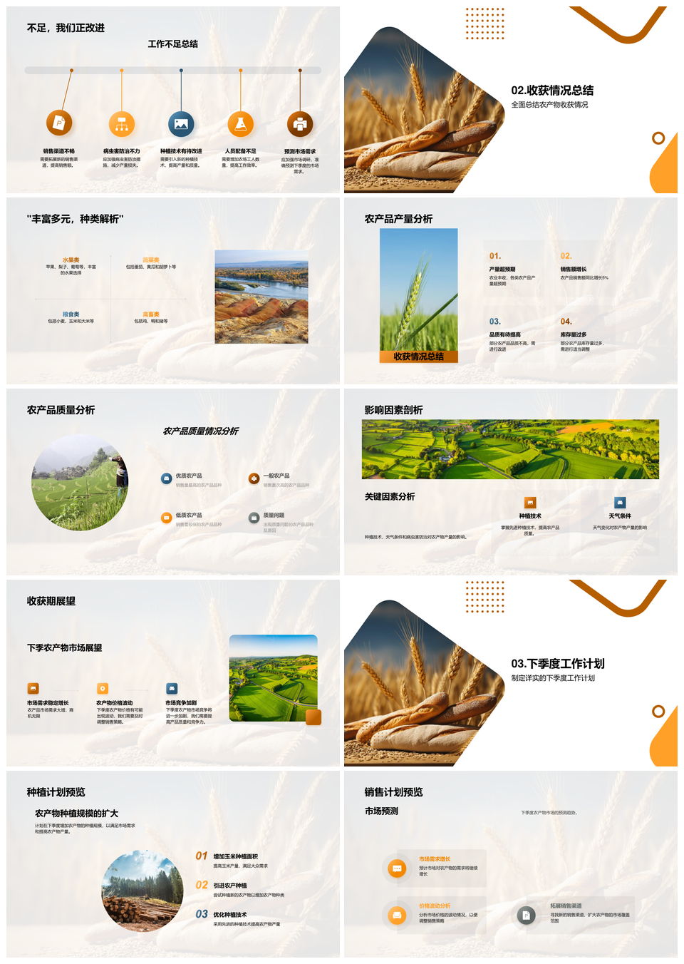 麦田季度收获总结与种植销售规划PPT模板