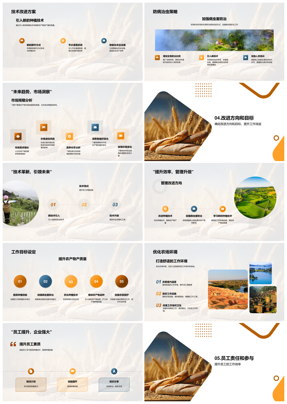 麦田季度收获总结与种植销售规划PPT模板