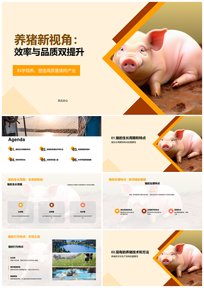 高效养猪技术优化生长周期提升品质PPT模板