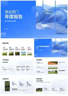渔业部门年度工作成果挑战策略方向总结PPT模板