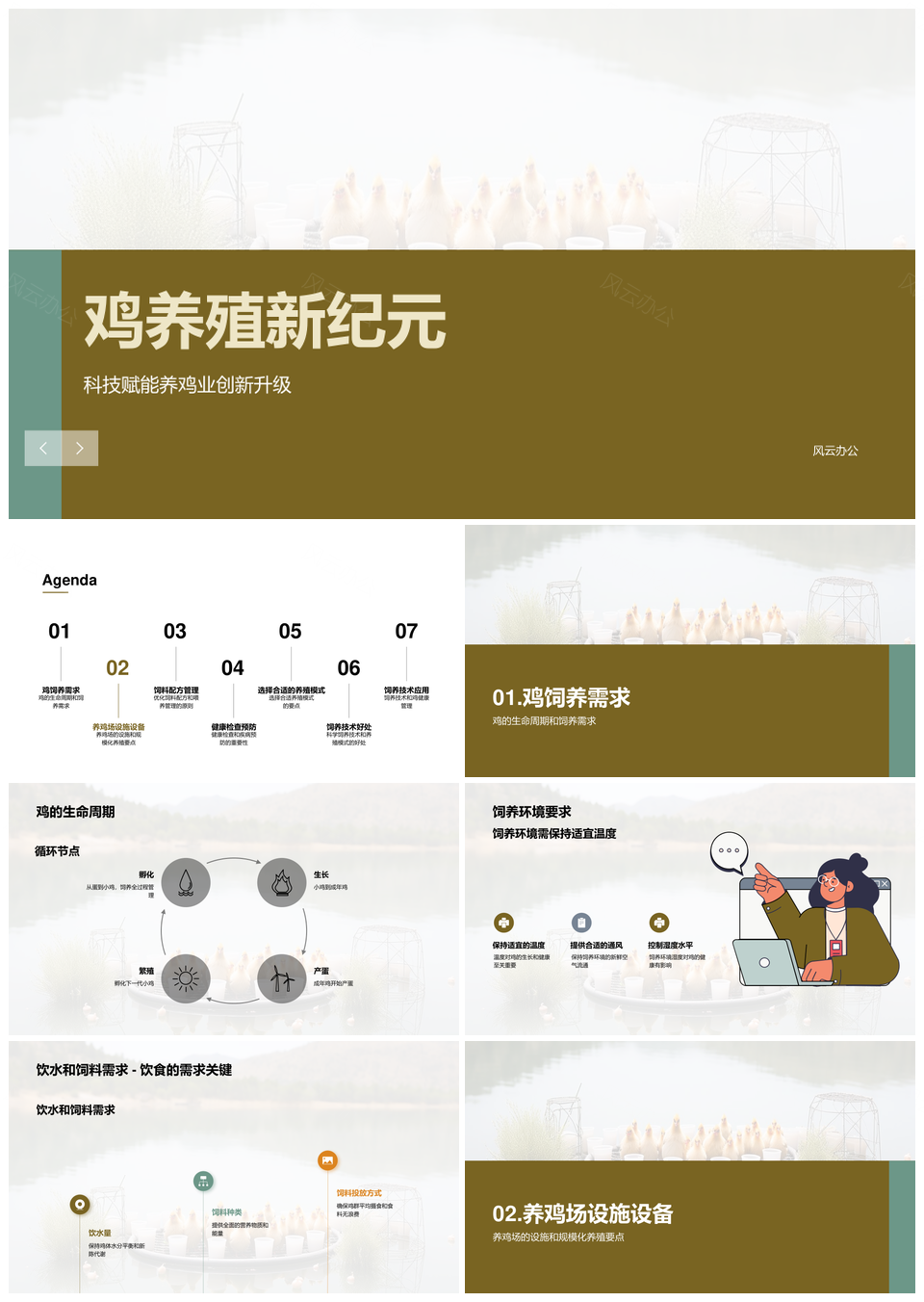 鸡饲养技术模式顾问助农养殖PPT模板