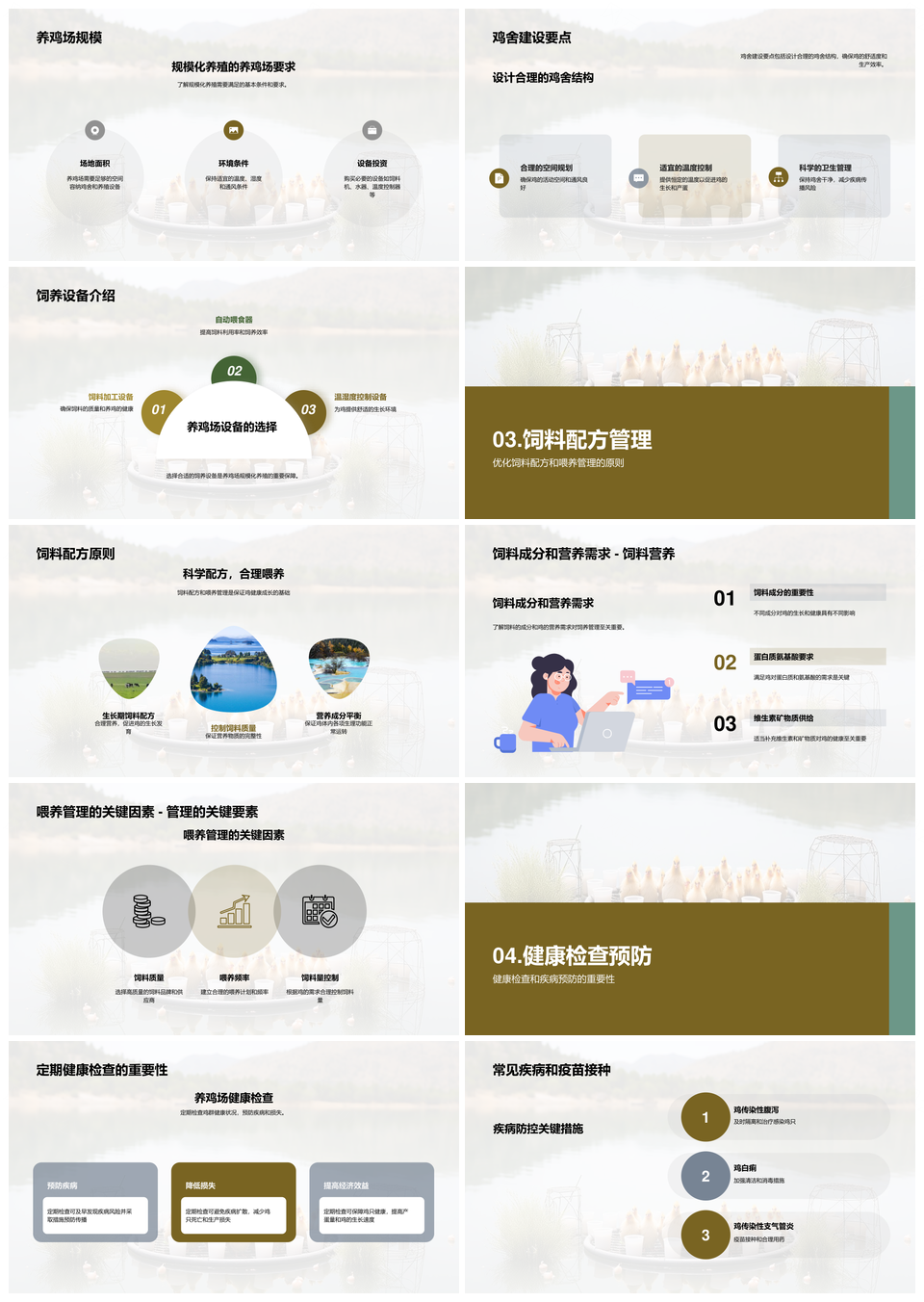 鸡饲养技术模式顾问助农养殖PPT模板