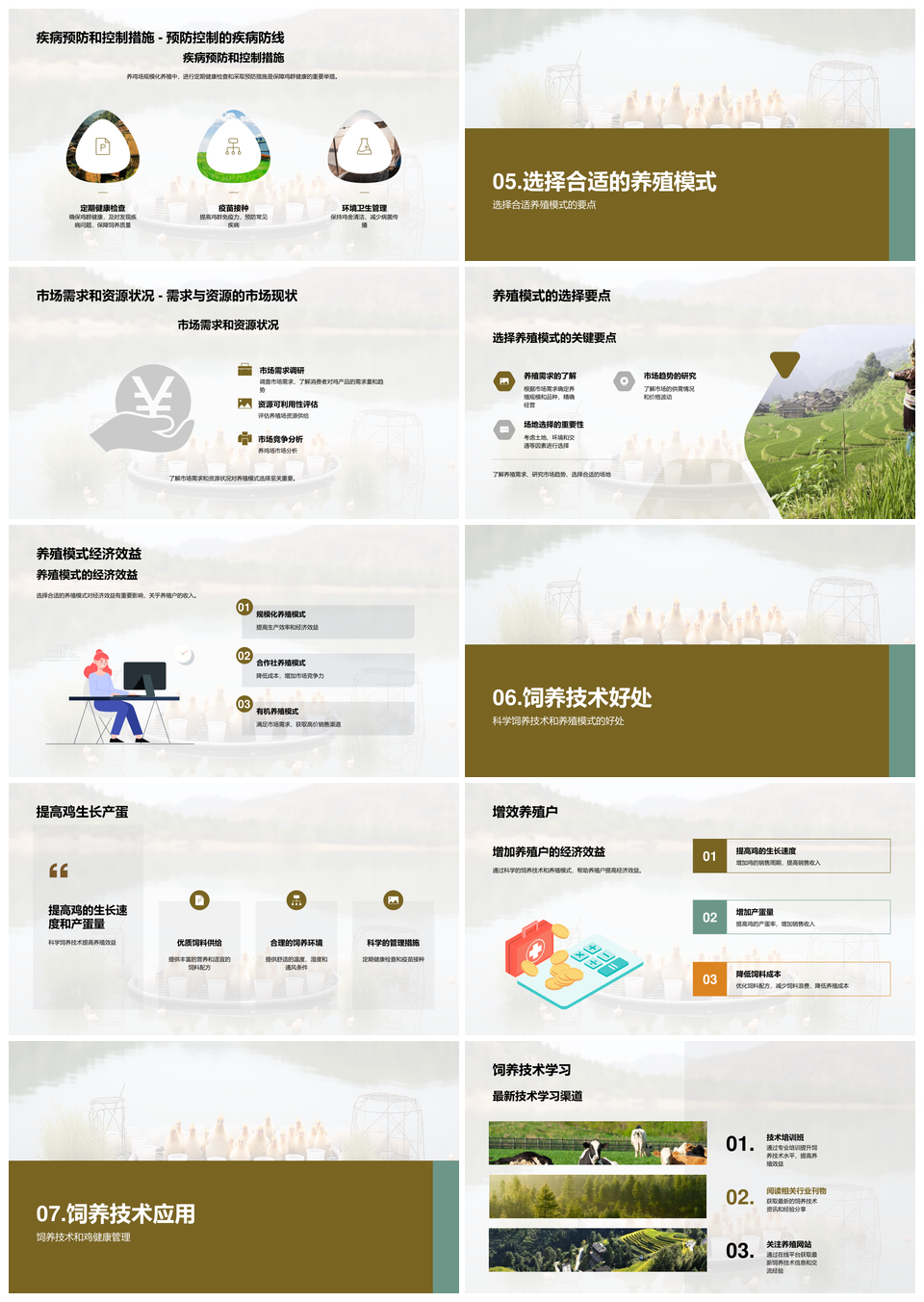 鸡饲养技术模式顾问助农养殖PPT模板
