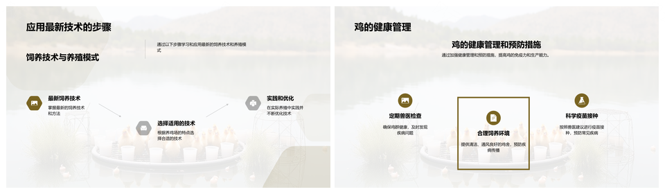 鸡饲养技术模式顾问助农养殖PPT模板