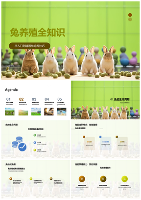 农学生兔饲养技术全阶段经验讲座PPT模板