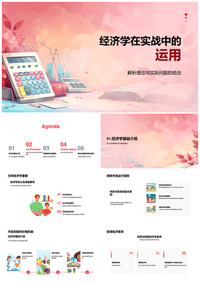 经济学实战应用供需均衡宏微观经济危机管理消费者行为学派PPT模板