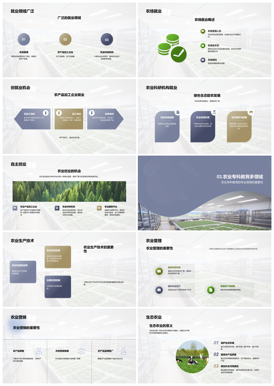 农业专科教育技术管理营销就业方向PPT模板
