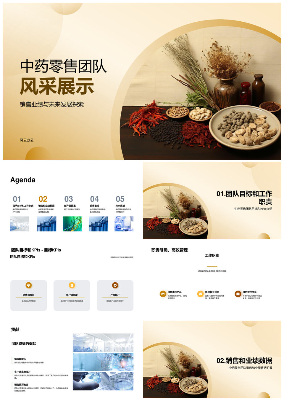 中药零售团队月度目标完成与销售数据总结PPT模板