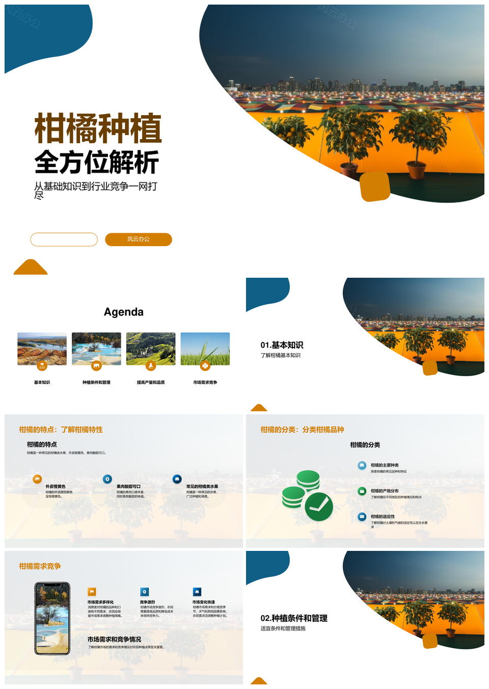 农业专家解析柑橘种植科技成功提升产量品质PPT模板