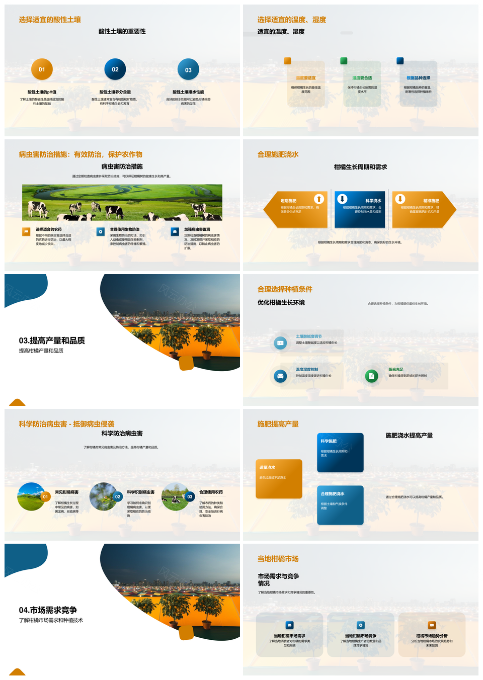 农业专家解析柑橘种植科技成功提升产量品质PPT模板