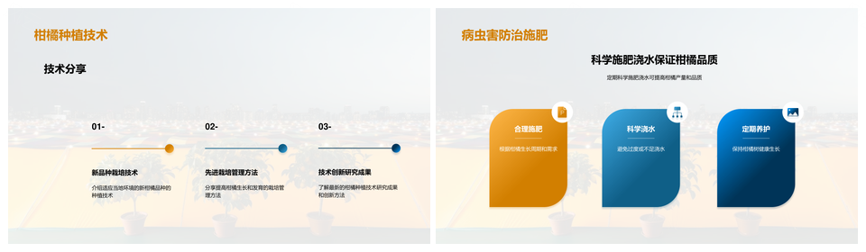 农业专家解析柑橘种植科技成功提升产量品质PPT模板