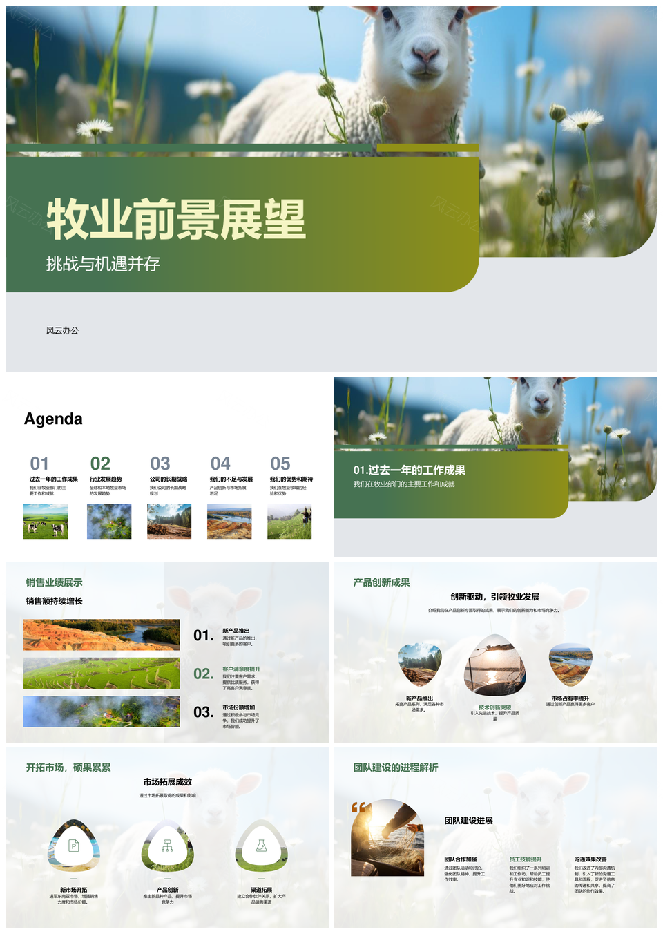 牧业前景挑战机遇创新研发市场拓展PPT模板