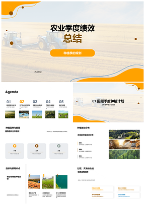 麦田季度种植规划品种数量绩效收成总结PPT模板