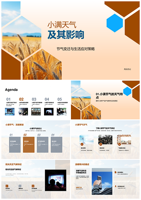 小满节气天气农事与生活应对策略PPT模板