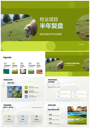 牧业项目半年复盘成果挑战与规划PPT模板