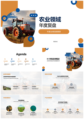 农业业务战略产品创新市场开发年度复盘展望PPT模板