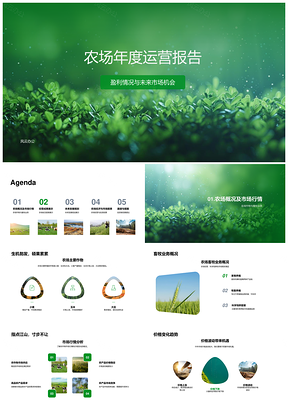 农场年度运营财务市场及产销分析报告PPT模板