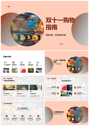 双十一智趣购物攻略优选计划PPT模板