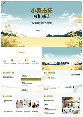 小暑市场数据分析夏季热销产品策略PPT模板