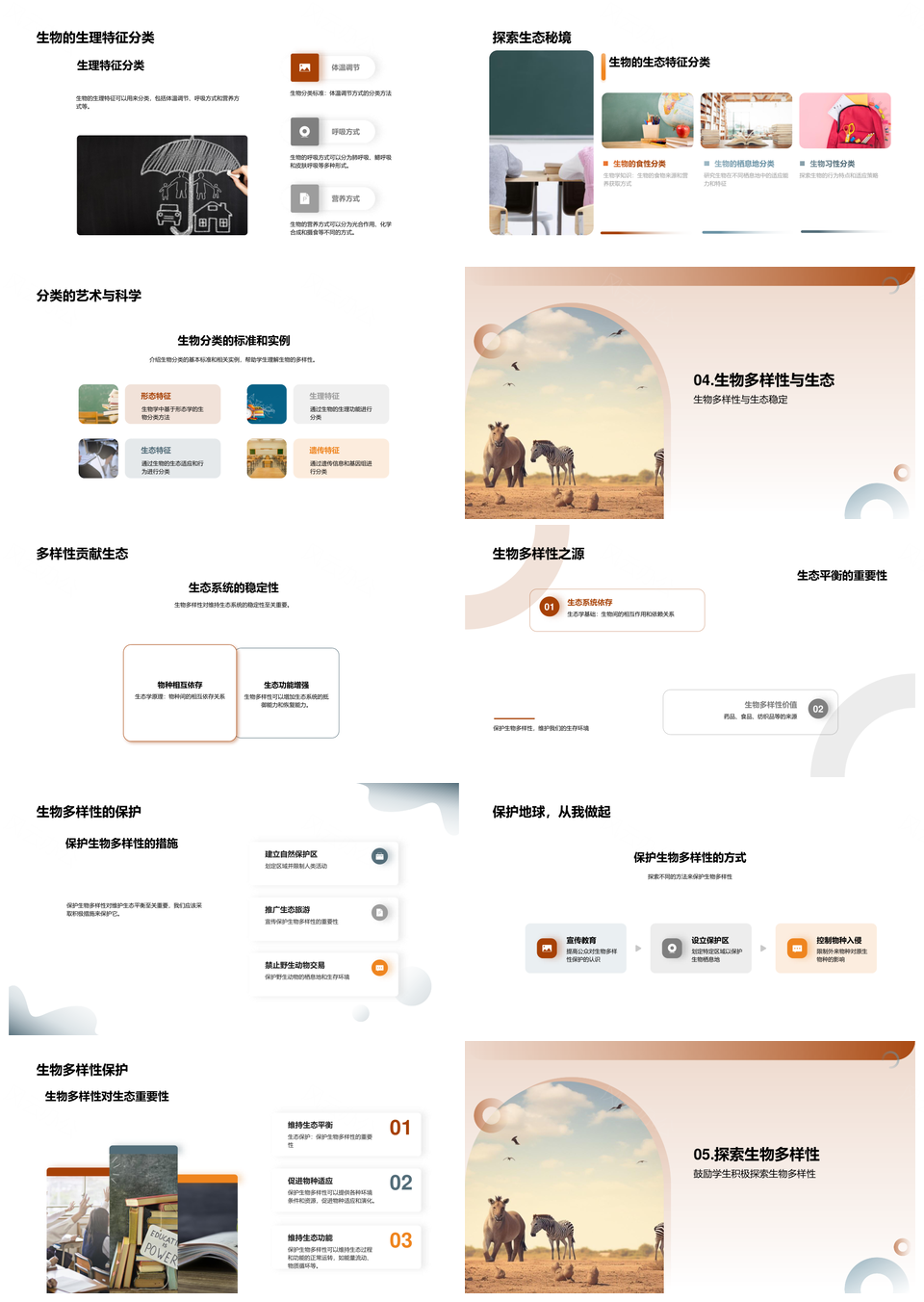 热带雨林生物多样性分类进化保护PPT模板