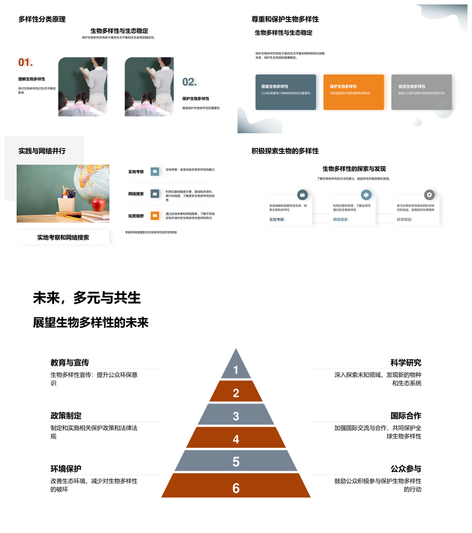 热带雨林生物多样性分类进化保护PPT模板