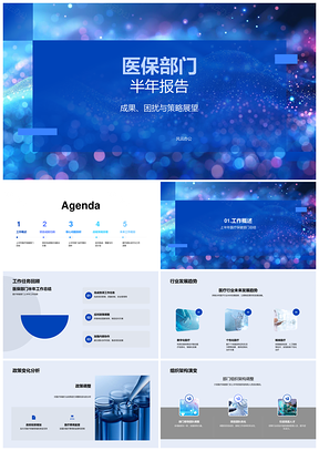 医保半年工作成果挑战策略展望总结趋势政策架构调整PPT模板