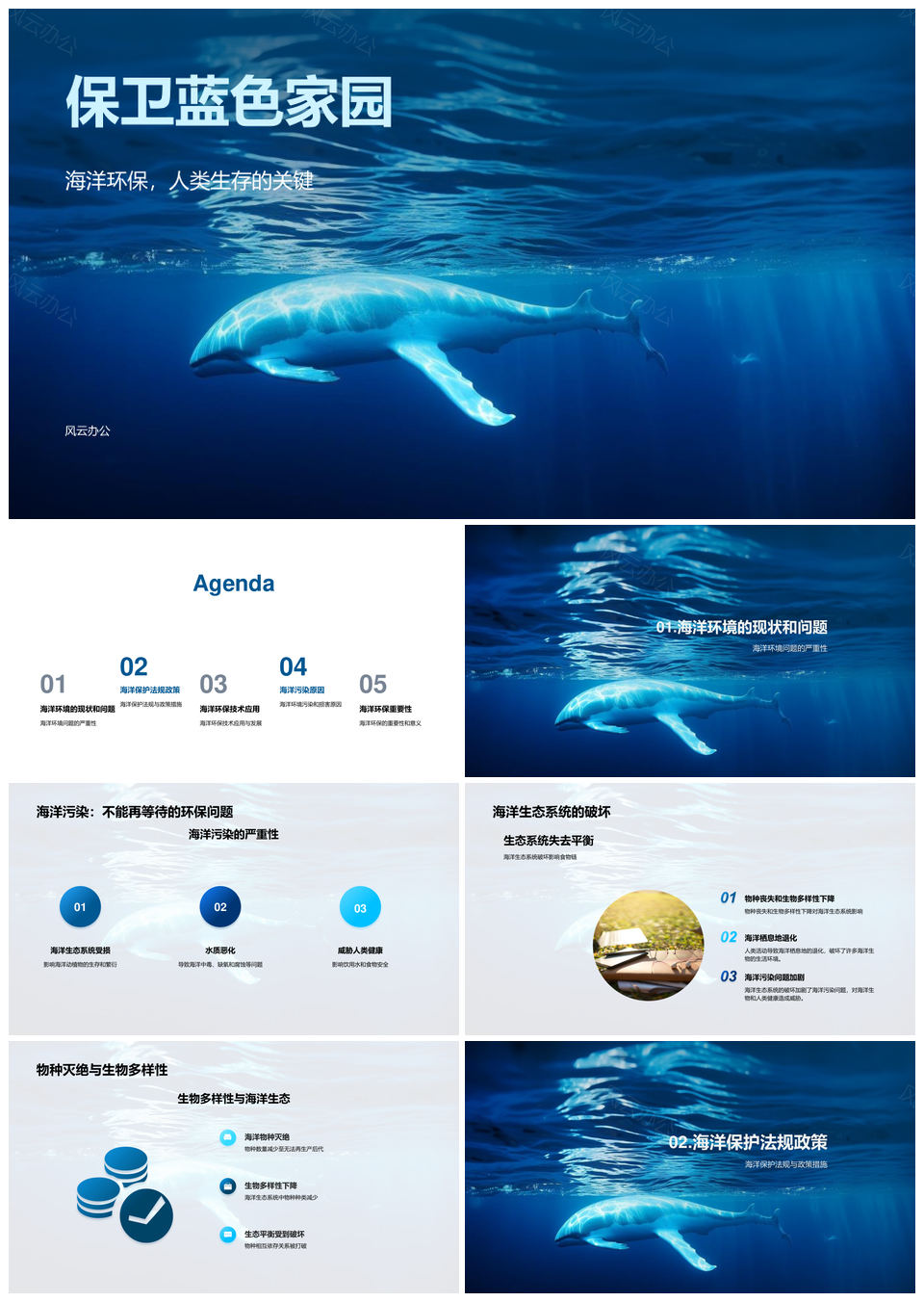 守护海洋生态防污染护生物多样性PPT模板