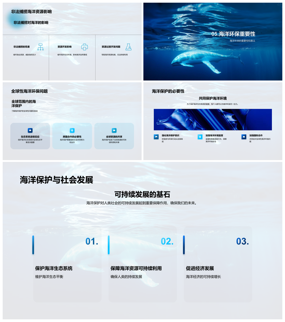 守护海洋生态防污染护生物多样性PPT模板