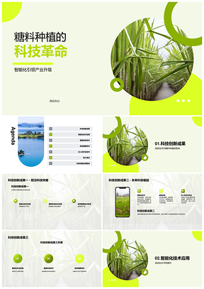 甘蔗糖料种植科技创新与本科教学PPT模板