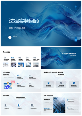 2025法律实务案例解析与行业动态前瞻PPT模板