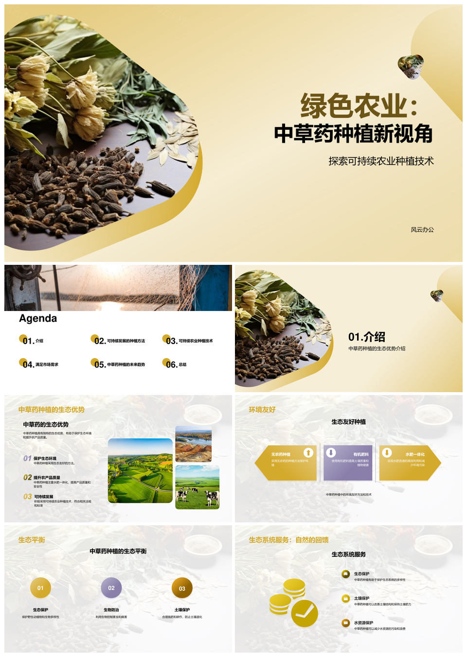 生态无农药中草药种植可持续发展PPT模板