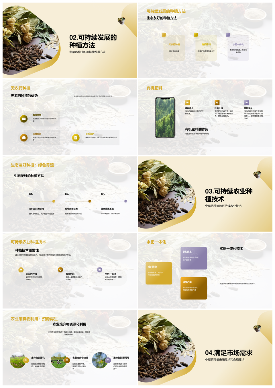 生态无农药中草药种植可持续发展PPT模板