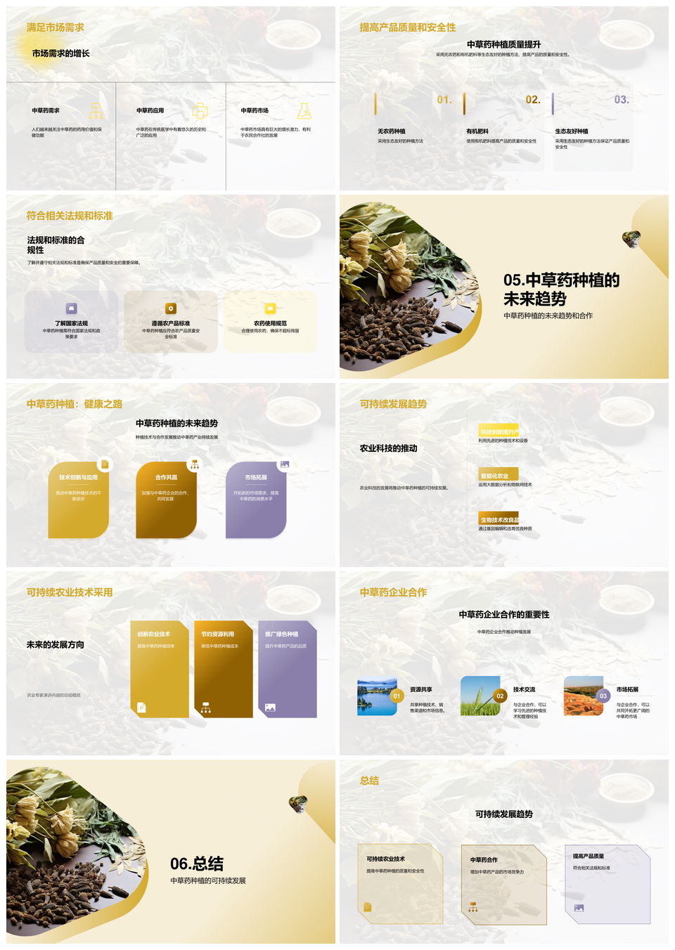 生态无农药中草药种植可持续发展PPT模板