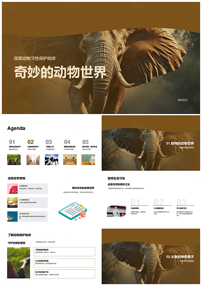 动物世界象鼻鸟翼觅食御敌护地球PPT模板