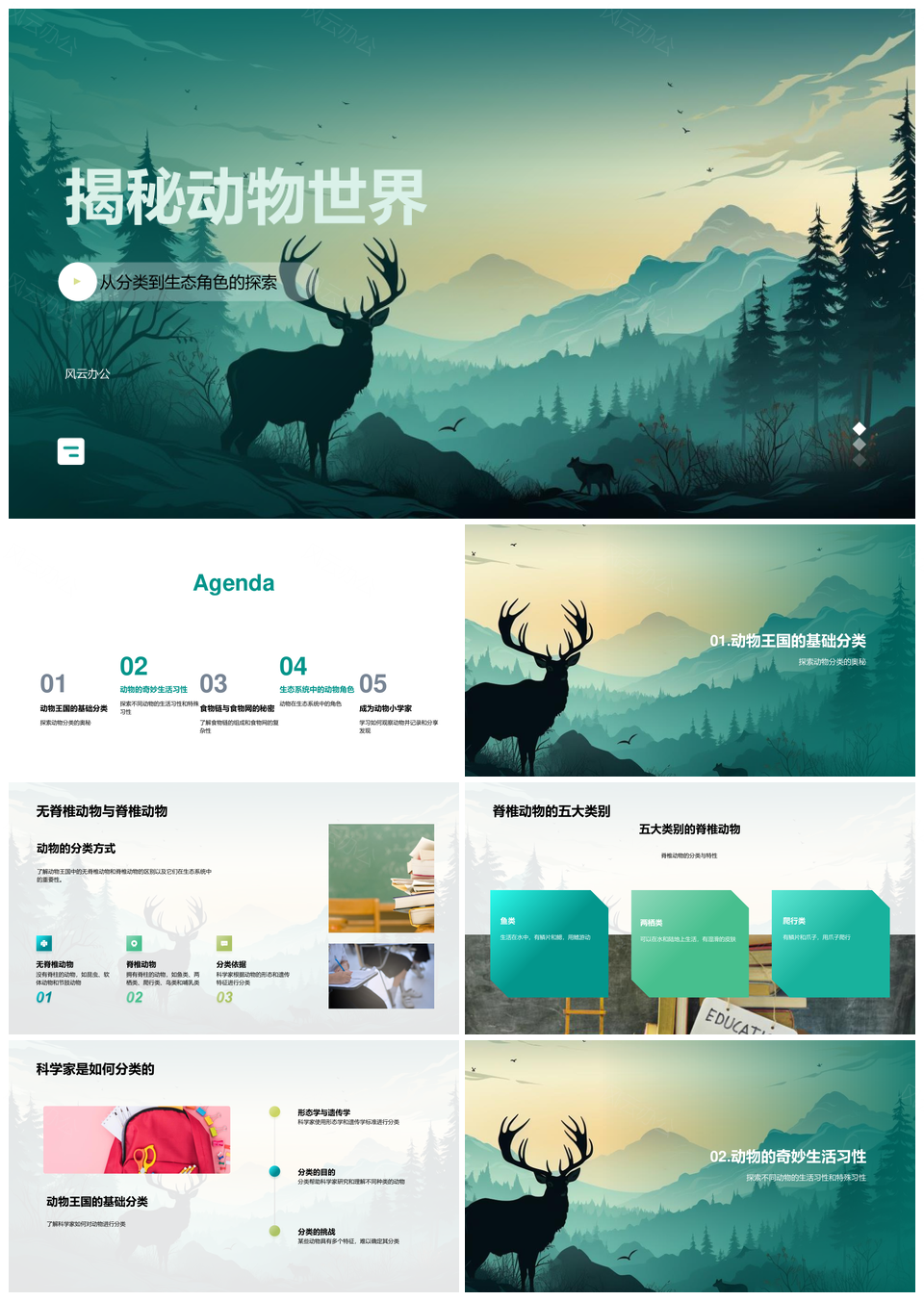 动物世界分类生态习性揭秘PPT模板