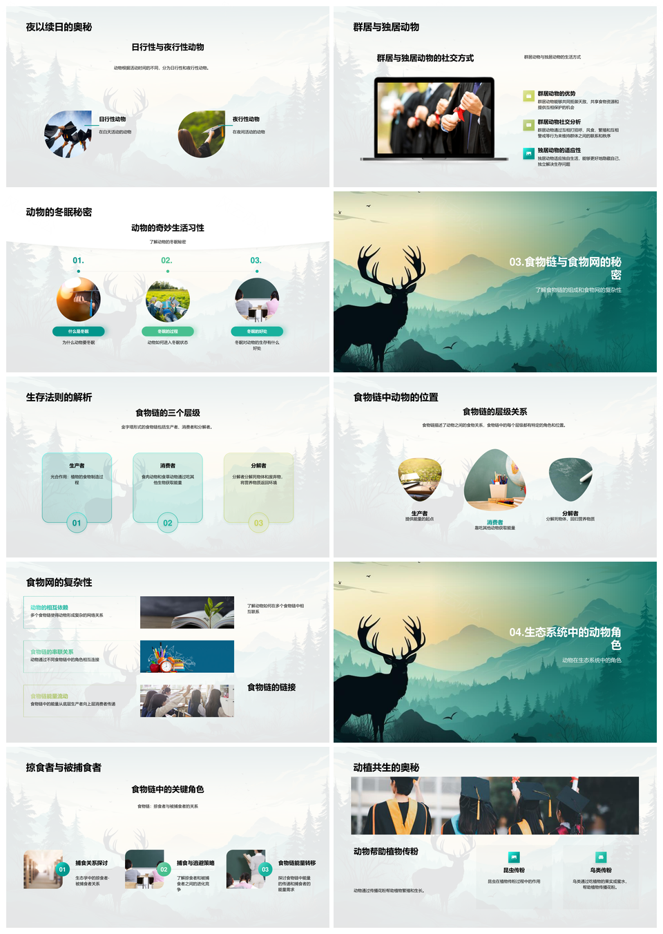 动物世界分类生态习性揭秘PPT模板