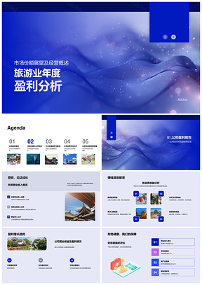 2025旅游业年度盈利分析PPT模板