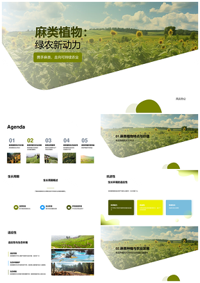 麻类种植助力可持续农业生态提质PPT模板