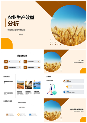 农业经济学家总结农民合作社小麦田效益改进建议PPT模板