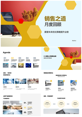 销售业绩策略主品同期对比行业趋势分析PPT模板