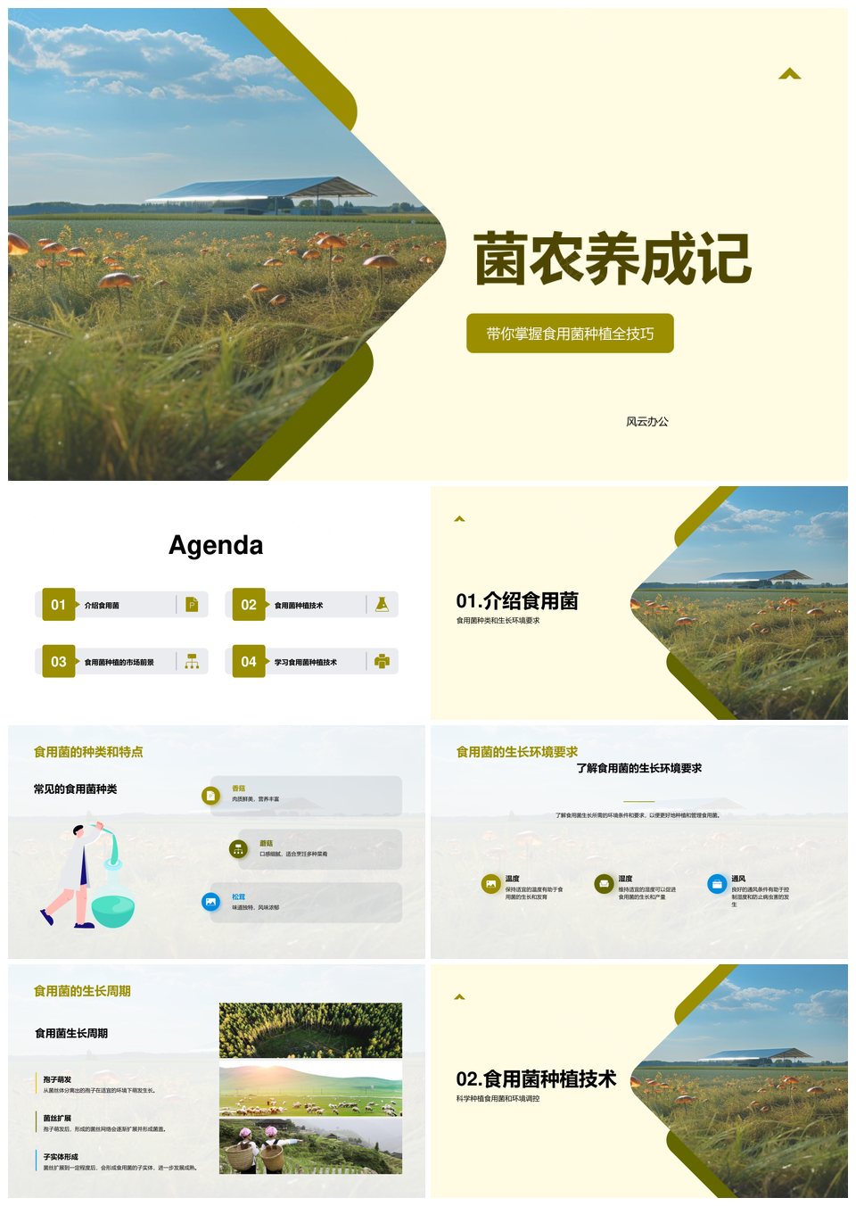 菌农科学种植高效盈利经验PPT模板