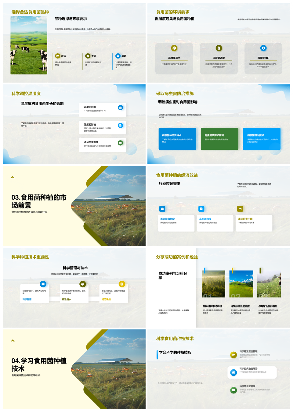 菌农科学种植高效盈利经验PPT模板