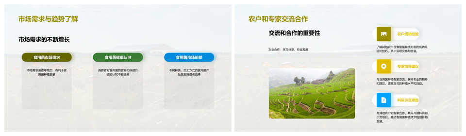 菌农科学种植高效盈利经验PPT模板