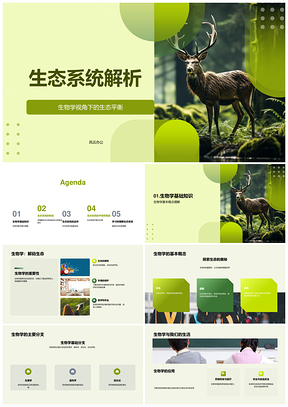 生物学视角解析森林生态平衡PPT模板