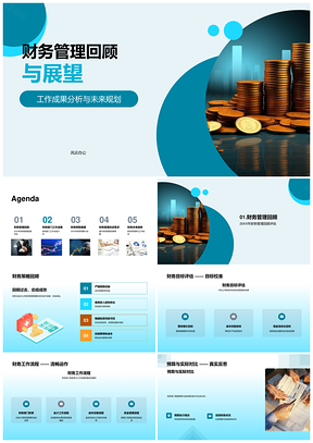 2025财务管理预算流程目标成果亮点短板总结展望PPT模板