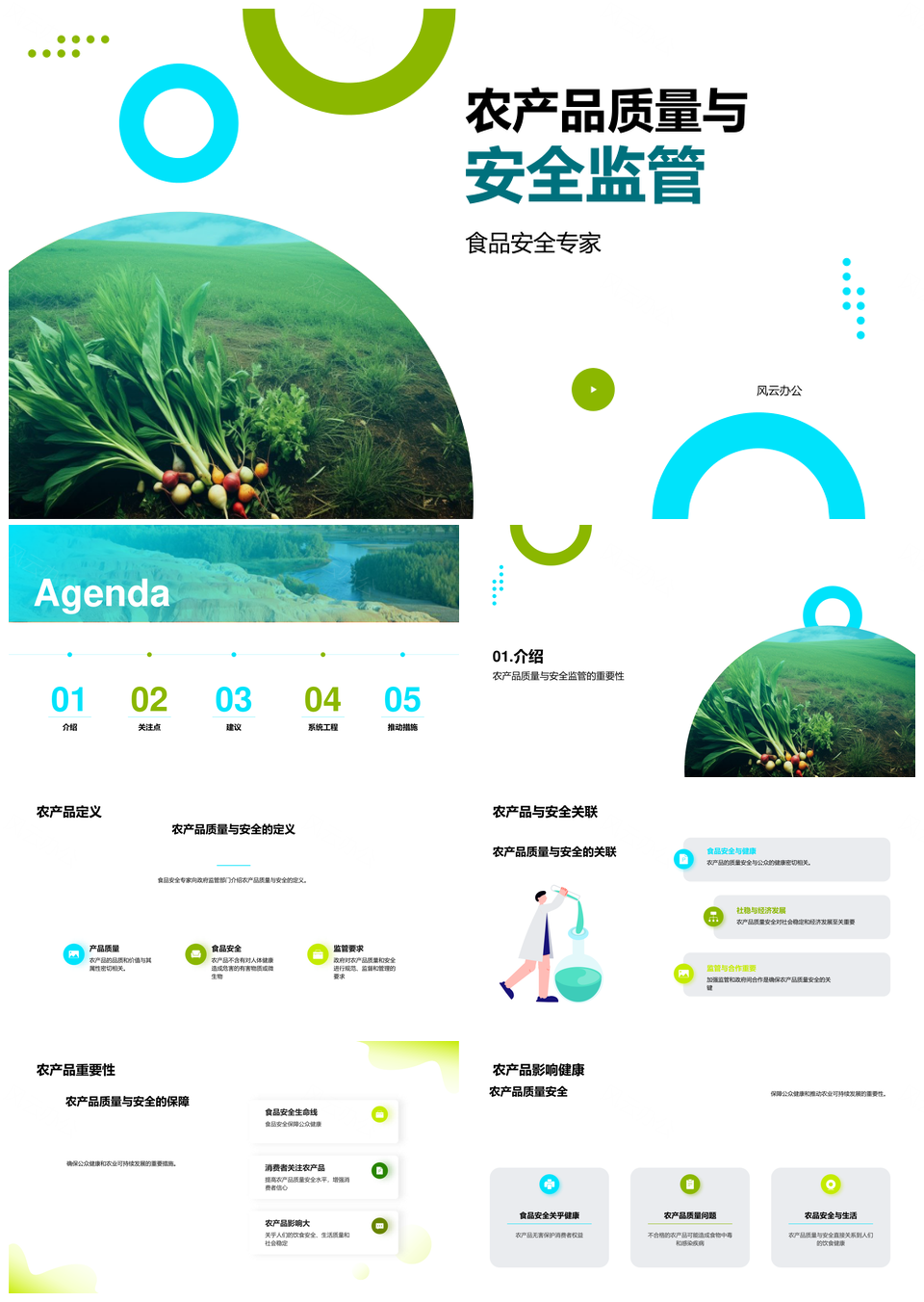 农产品质量安全监管政策建议PPT模板