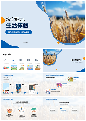 农学生活生态科技经济安全麦田PPT模板