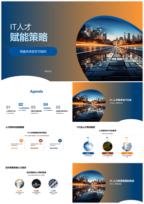IT人才赋能未来学习组织技管革新薪酬激励PPT模板