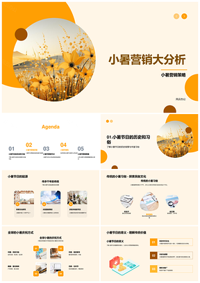 小暑营销策略全球节日习俗成功案例商业价值PPT模板