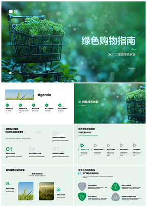 双十二绿色农业环保论坛购物指南PPT模板